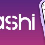 Descubre todo sobre Cashi: lo que nadie te ha contado sobre sus ventajas y desventajas